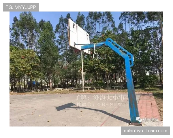 身体接触容忍度的范围与判定,篮球场上如何正确解读新规 身体接触容忍度的范围与判定,篮球场上如何正确解读新规